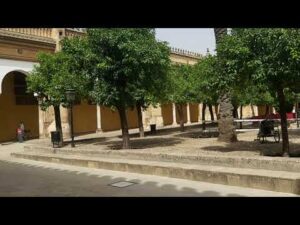 Patio de los Naranjos en Roma: Un Encanto Citrus en la Ciudad Eterna