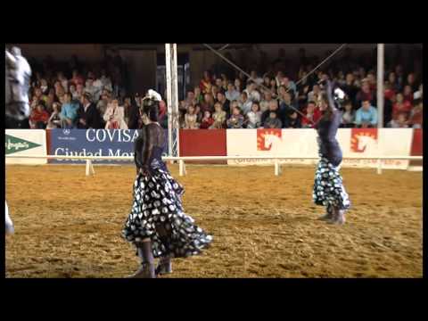 Pasión y duende del caballo andaluz: El arte en movimiento