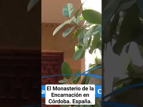 Convento de la Encarnación Córdoba: Historia y Belleza en la Ciudad