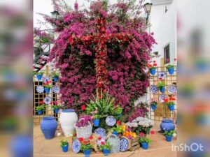 Fiesta de las Cruces de Mayo: Tradición y Alegría en Córdoba