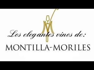 Descubre la mejor cata de vino en Montilla-Moriles