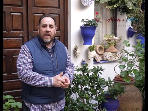 Descubre los encantos de los Patios de Córdoba en invierno