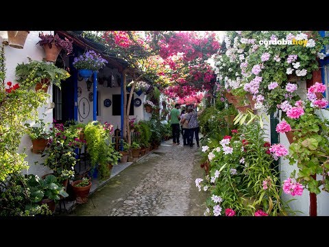 Descubre los mejores patios de Córdoba: una experiencia única
