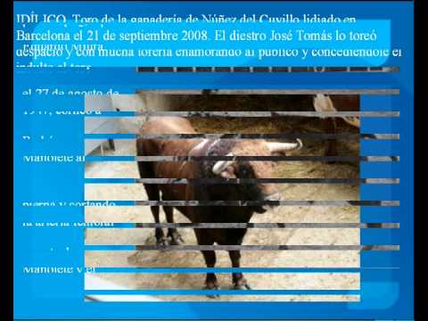 Los toreros más famosos de España: Descubre sus nombres